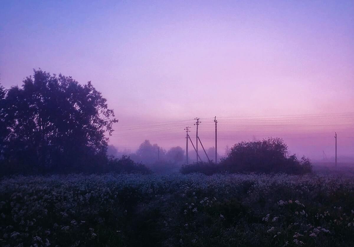 九游APP：以玩家为本的游戏生态，开启你的智慧游玩新纪元